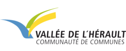 logo ccvh